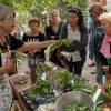 Tourisme en Vallouise
