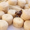 Fromage de brebis en Vallouise