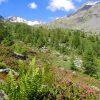 Balade hautes alpes