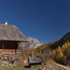 automne